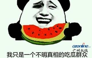 娱乐圈吃瓜群众的简介